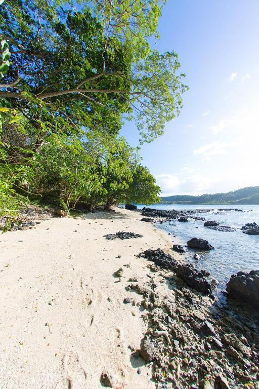 Sau Bay Resort - Off Taveuni Na Sau Bay Dış mekan fotoğraf