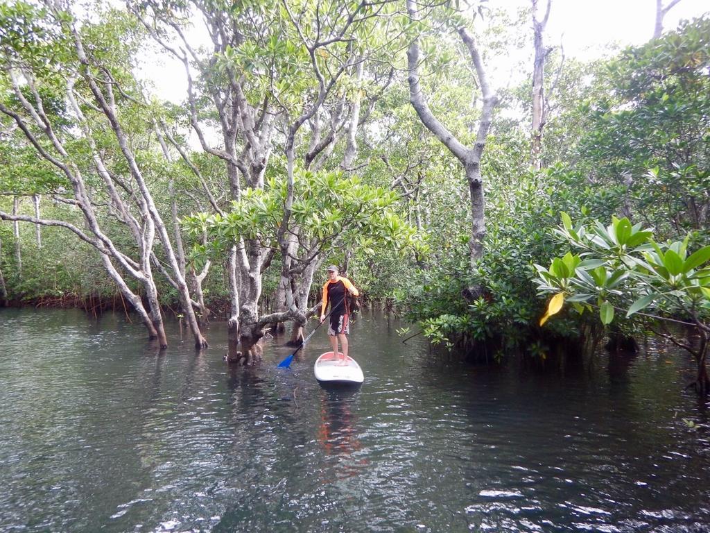 Sau Bay Resort - Off Taveuni Na Sau Bay Dış mekan fotoğraf