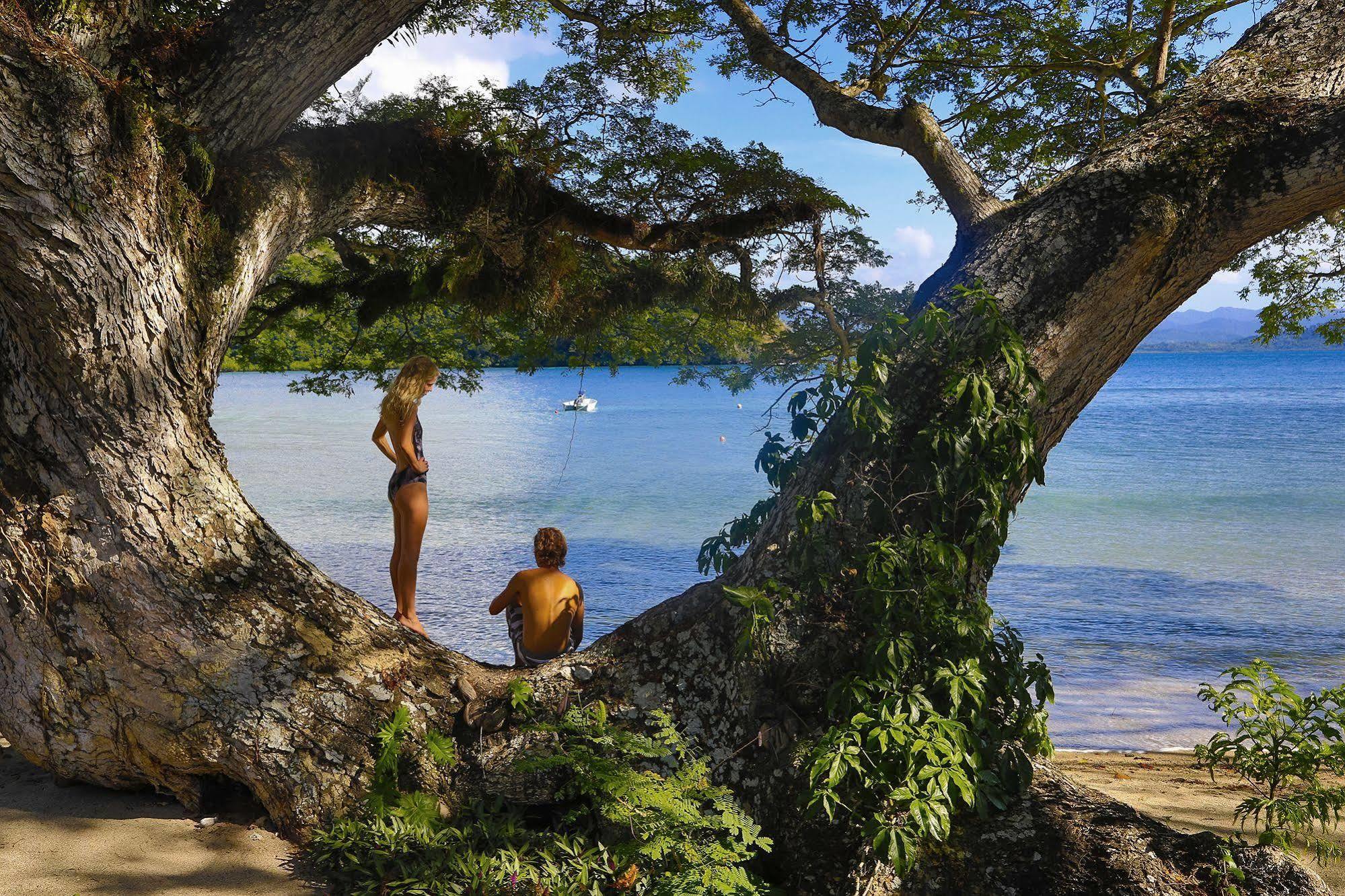 Sau Bay Resort - Off Taveuni Na Sau Bay Dış mekan fotoğraf